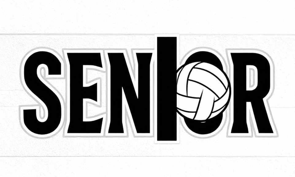 Honda Center in Anaheim: Volleyball at the 2028 Olympics Gets a Dress Rehearsal Room Honda Center in Anaheim: Volleyball at the 2028 Olympics Gets a Dress Rehearsal Room