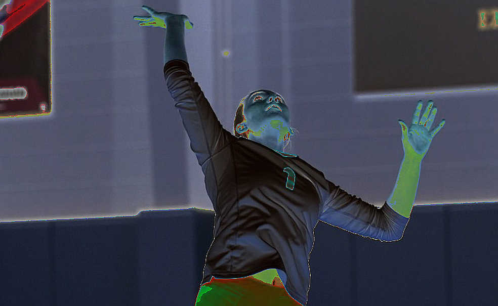 Egypt Wins African Women's Volleyball Championship, Secures First Olympic Berth for 2028 Egypt Wins African Women's Volleyball Championship, Secures First Olympic Berth for 2028