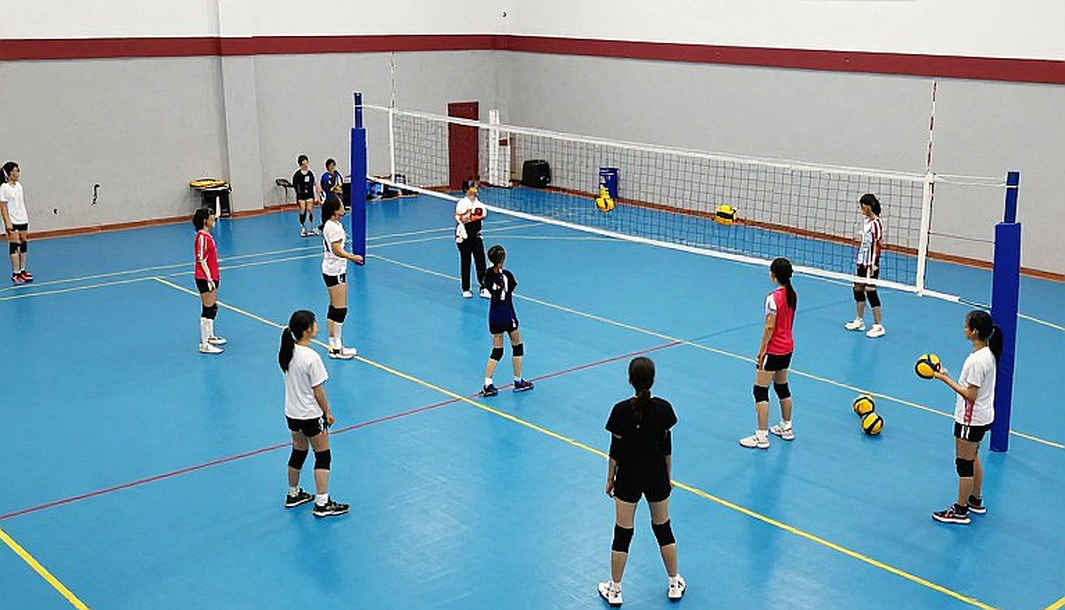 Ai Cập và tấm vé Olympic bóng chuyền nữ đầu tiên: Bên trong chiếc cúp vàng của châu Phi