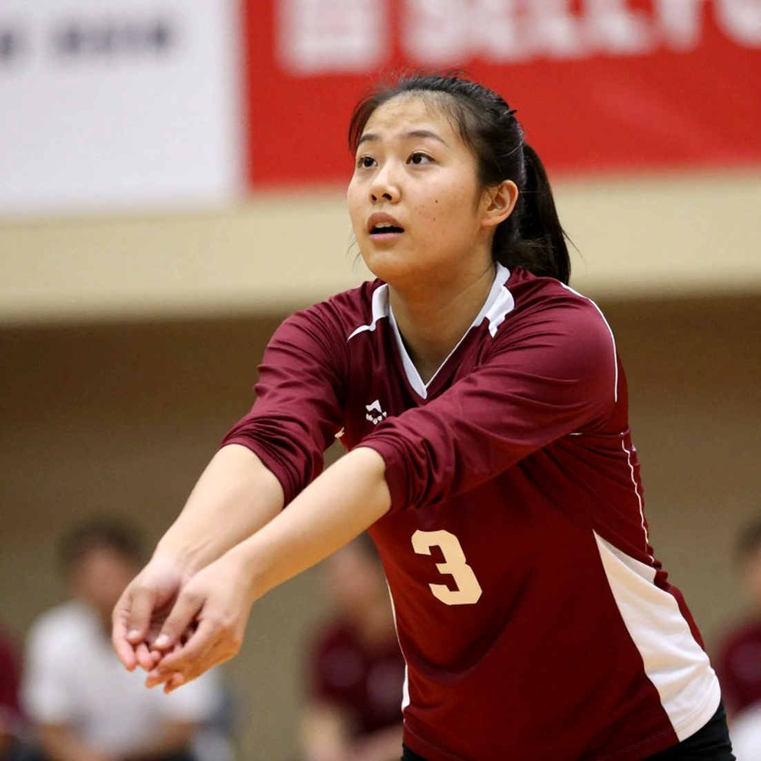 Vietnam Women's Volleyball in the Olympic Cycle: Nine Layers of Analysis After One Controversial Whistle Vietnam Women's Volleyball in the Olympic Cycle: Nine Layers of Analysis After One Controversial Whistle