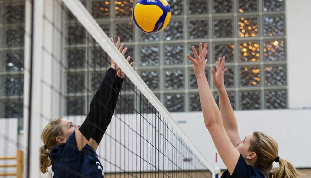 Ba Lan bảo vệ ngai vàng EuroVolley 2026: Chiến thắng của sự cân bằng và vết nứt cho Los Angeles Ba Lan bảo vệ ngai vàng EuroVolley 2026: Chiến thắng của sự cân bằng và vết nứt cho Los Angeles